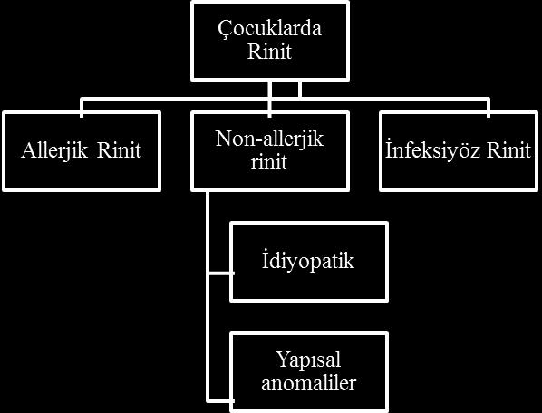 Ġdiyopatik Alerjik rinit Non-Alerjik rinit ġekil 1.