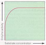 Enzim ve substrat derişimleri Substrat derişimi arttıkça reaksiyonun hızı da