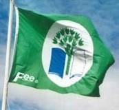 Yeşil bayrak,uluslararası düzeyde tanınan ve saygınlığı