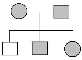 **Örnek 8: Aşağıdaki soy ağacında fenotipinde bir özelliği gösteren bireyler taralı olarak verilmiştir. Soy ağacında taralı olarak verilen özellik hangisi olabilir?