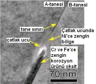 TANELERARASI Şekil 48.