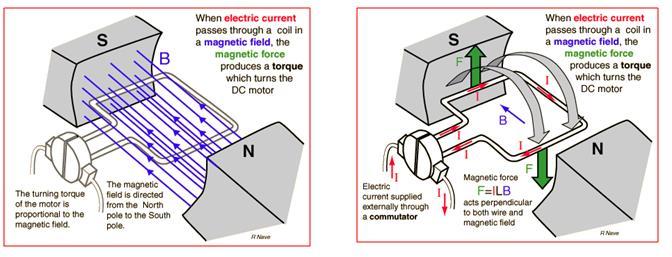 3.1. DC MOTOR DC Motorun Çalışma Prensibi: Endüktördeki sargı veya sabit mıknatısların meydana getirdiği sabit bir manyetik alan