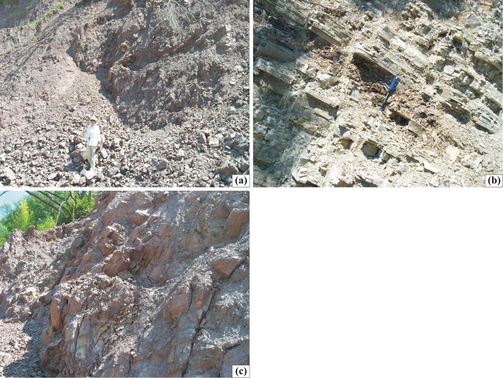 ġekil 3.13 Aksudere formasyonu içerisindeki kayaç litolojilerinin arazi görünümleri a. Aksudere formasyonun genel arazi görünümü b.