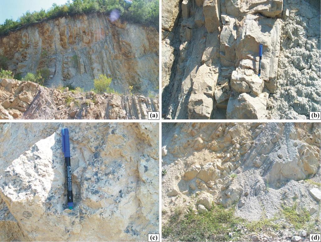 ġekil 3.14 Buldandere formasyonunu oluģturan kayaç litolojilerinin arazi görünümleri a. Formasyonu oluģturan kumtaģı-kireçtaģı-marn ardalanması b.