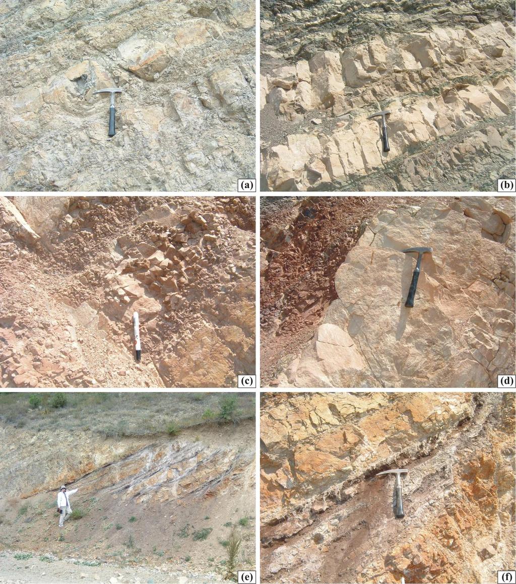 ġekil 3.19 Gökçesu kömür ocağı çevresindeki Tokmaklar formasyonuna ait kayaç litolojilerinin arazi görünümleri a,b.