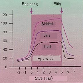 Pulmoner ventilasyon (L/dk) Pulmoner Ventilasyonun Düzenlenmesi Ayrıca çalışan kaslardan ve eklemlerden gelen