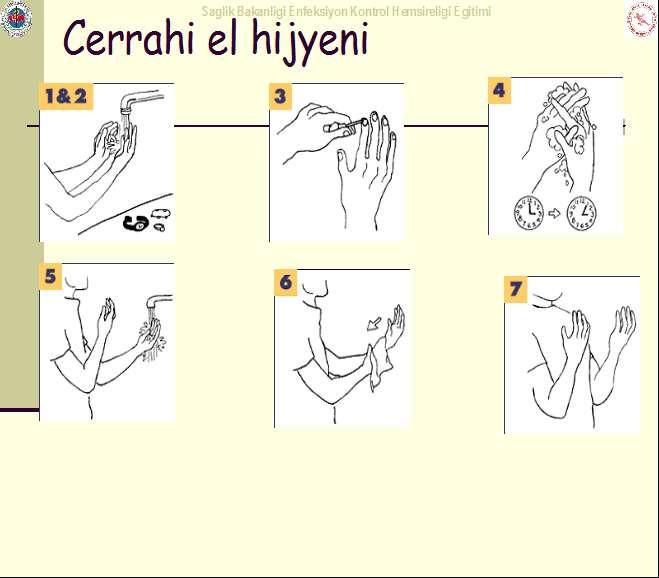 8.Gözden Geçirme: Yayınlanan her bir doküman güncellik açısından yılda