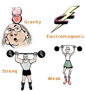 Dört Temel Kuvvet Yerçekimi Zayıf kuvvet: Z, W ± bozonları (örn. Beta radyasyonu) zayıf güçlü Elektromanyetik kuvvet: foton (örn.