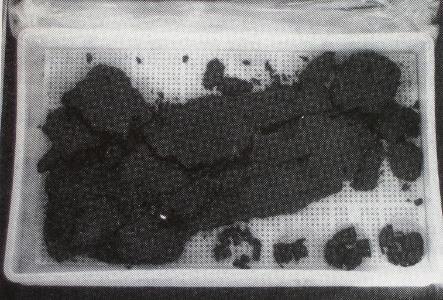 Arkeolojik dokuma ve deri parçaları asitsiz kartondan