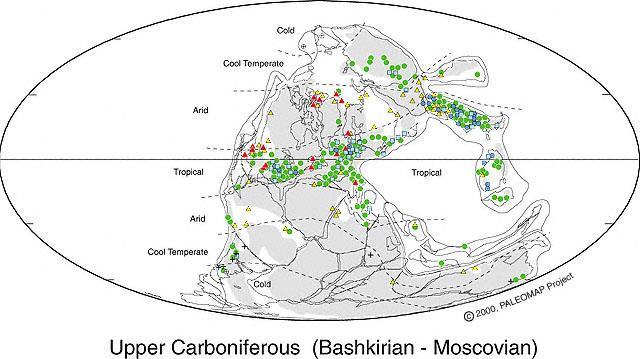 GEÇ KARBONİFER DE (Başkriyen-Moskoviyen) İKLİM Pangea nın tropikal bölgelerinde yağmur ormanları