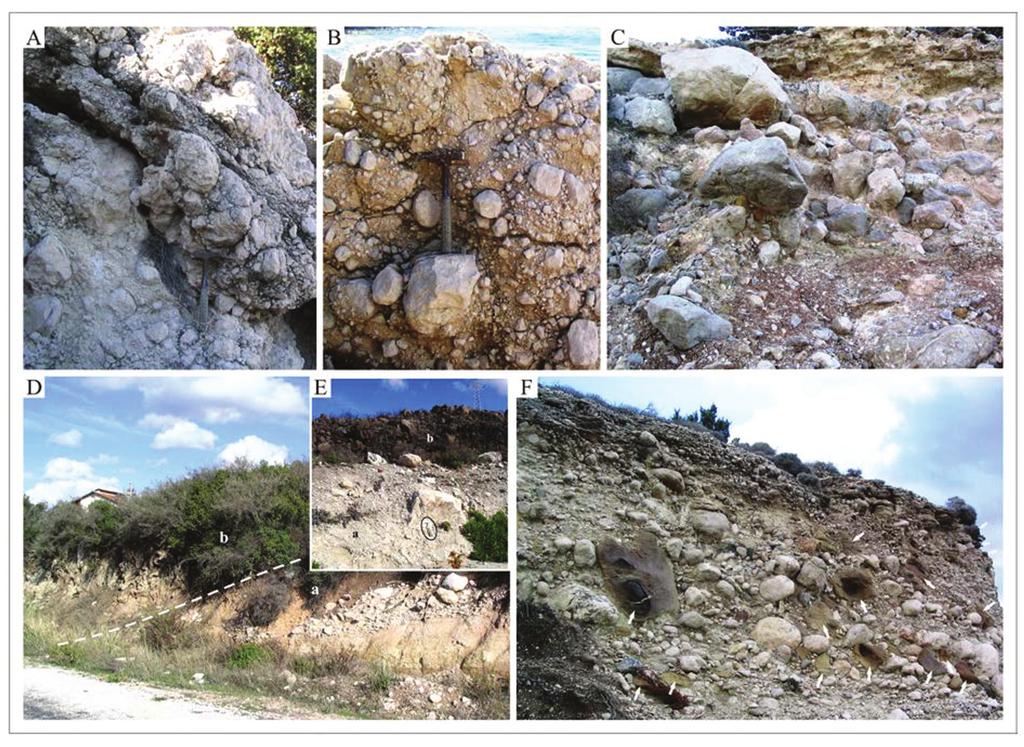 Ildır Körfezi güneyindeki bölgenin Neojen stratigrafisi Çeşme Yarımadası, Batı Anadolu Şekil 8. Belentepe yelpaze deltası çökelleri.