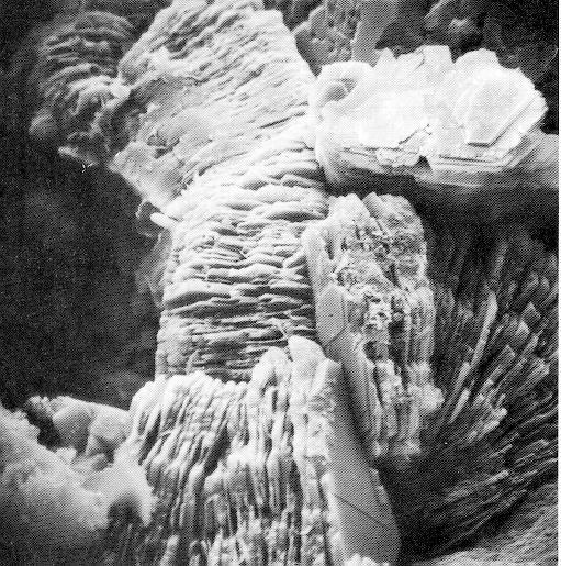 Elektron mikroskop görünümleri Kil mineralleri Humik maddeler -Killer