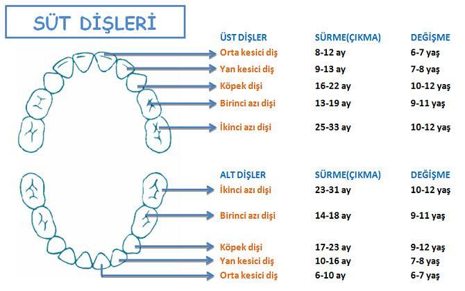 Şekil 1.