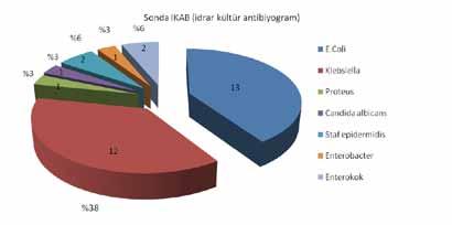Yenidoğanda İdrar Yolu Enfeksiyonları 3 Otuz iki olgudan kateter ve 3 olgudan suprapubik yöntemler ile alınan idrar kültürlerinde %42.8 (n=15) ile en sık E.