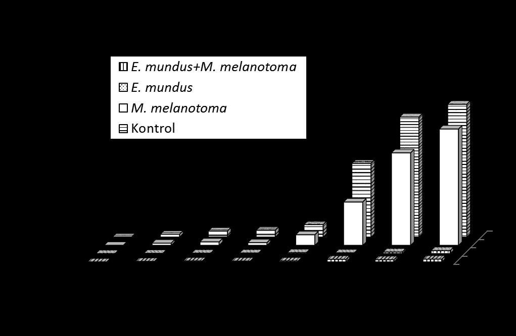 Domates bitkisinde 2009 yılında dört farklı uygulamada elde edilen ortalama ergin Bemisia tabaci yoğunlukları. *Aynı harfi taşıyan uygulamalar arasında Bonferroni testine göre fark yoktur (P<0.001).