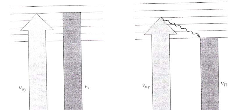 17 Şekil 2.9 (a) Rezonans Raman saçılımı (b) floresans emisyonları için enerji diyagramları (Morris ve Wallan, 1979).