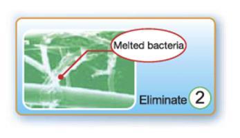 Anti-Virus Anti-Bakteri Birçok bakteri virüs ve küf çeşidini yakalar ve