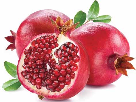 NAR / POMEGRANATE Hicaz Keben Wonderful Kabuk Rengi (Skin Color): Kırmızı(Red) Et Rengi(Flesh Color): Kırmızı, Beyaz (Red, White) Çap (mm)