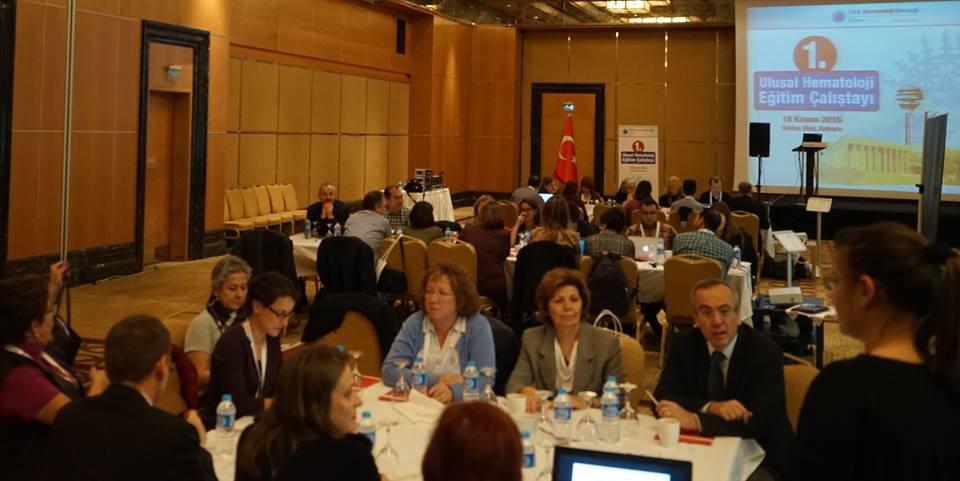 8 TPHD Alt Calısma,, Grupları Türk Hematoloji Derneği nden Bir Çalıştay Daha. Ulusal Hematoloji Eğitimi Çalıştayı Ankara da Düzenlendi.