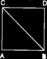 13. Şekildeki ABCD karesini bir köşegenle ikiye böldüğümüzde oluşan üçgenler için aşağıdakilerden hangisini söyleyemeyiz? 15. A. Dik açılı üçgendir. B.