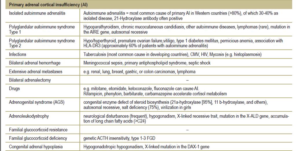 Primer Adrenal