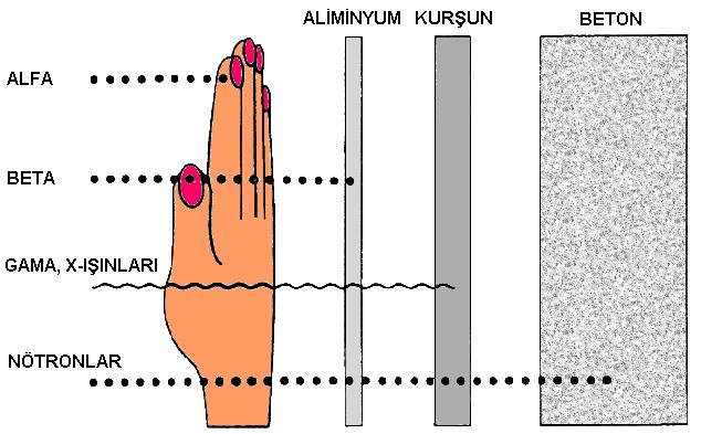 Radyasyonun giriciliği Vücudun dış kaynaklar