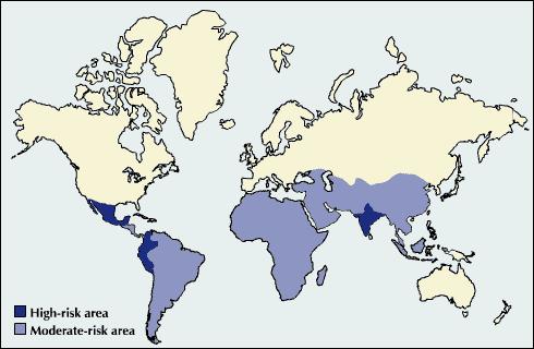 50,000 cases rabies in world/y over half U.S.