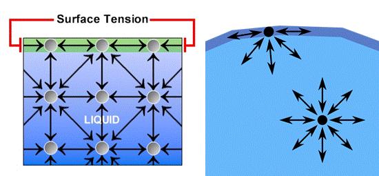 Akış direnci Bernoulli İlkesi: Toplam enerji= Kinetik enerji + Potansiyel enerji Kısaca; E T 2 + PE Poiseuille İlkesi: İç sürtünmeli akışkan akışında; Debi (D) D = 1/R.