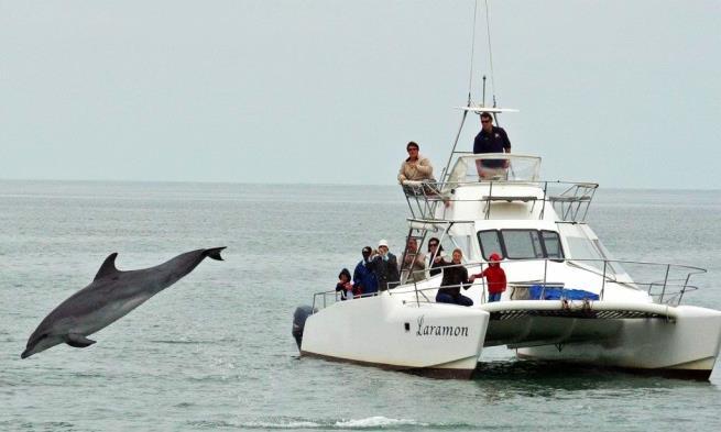 5.Gün : Tekne Turu Swakopmund Kahvaltının ardından Walvis Bay e gidecek, buradan kalkan yaklaşık yarım gün sürecek olan tekne turuna katılacaksınız.