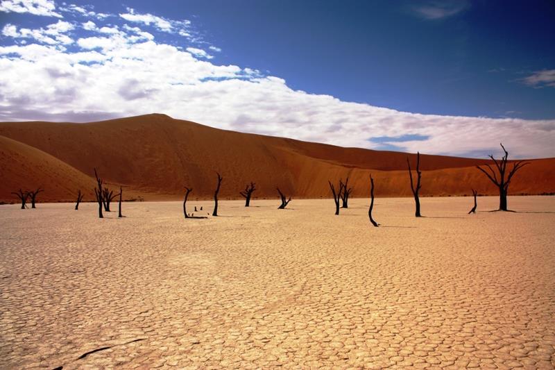 Öğleden sonra muhteşem otelinizde vakit geçirme ve dinlenme imkanınız olacak. Gezimizin Yedinci Gecesi Damaraland, Mowani Mountain Lodge ( 2 ) 8.