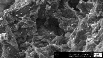 karbonun SEM görüntüsü 500 ºC Şekil