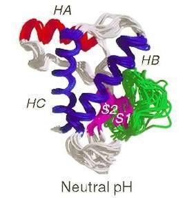 ph yükleri değiştirir ve dolayısıyla proteinlerin yapı ve aktivitelerinide