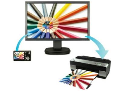 srgb Renk Düzeltme Teknolojisi Akıcı ve tutarlı renk diagramları profesyonel grafik tasarımcıları, video editing işiyle uğraşan çalışanlar ve farklı profesyonel alanlar için çok önemli bir ihtiyaçtır.