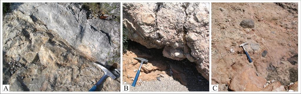 Fikret GÖKTAŞ Deveboynu Mevkii kuzeyinde, Güvercinlik Formasyonu nun dolomitic kireçtaşlarına transgresif olarak yaslanan killi- kumlu kireçtaşları, diskordans yüzeyindeki karstik boşlukları ve