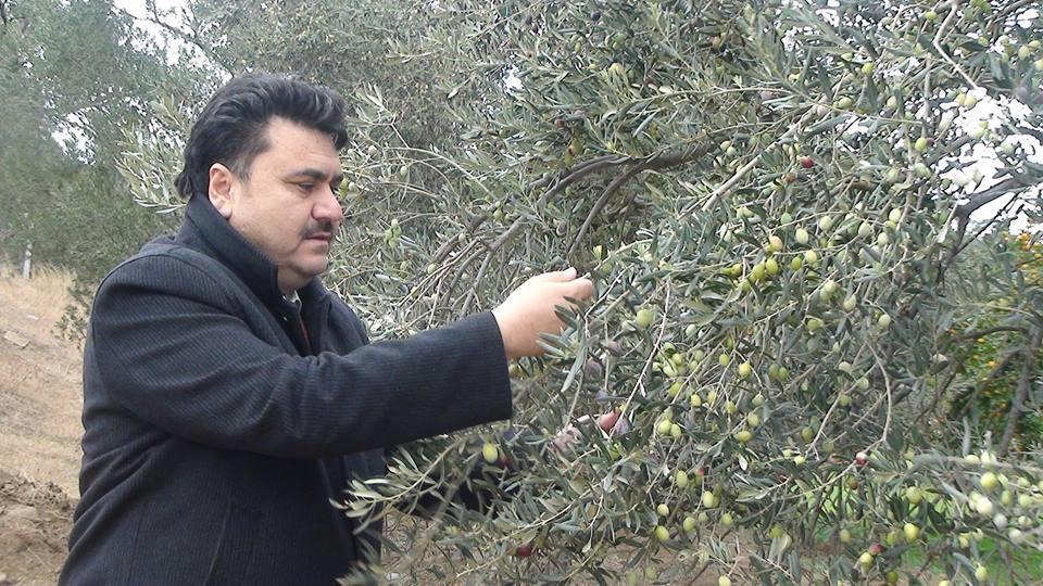 buda zeytinde verimi ve kaliteyi arttırıyor.bu yılda ihalemizi gerçekleştirdik 14 parça tarlamızın'dan tahmini 5500 çuval zeytin beklenti içindeyiz.piyasanın üzerine ihale ile zeytin.