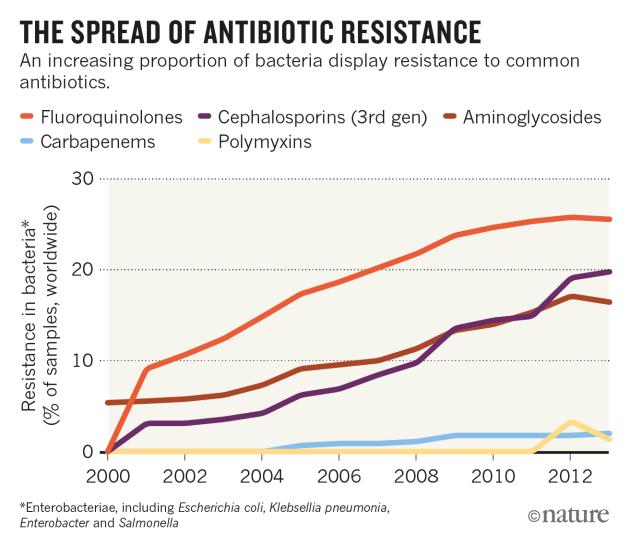 Spread of antibiotic-resistance gene does not spell bacterial apocalypse yet A last resort drug