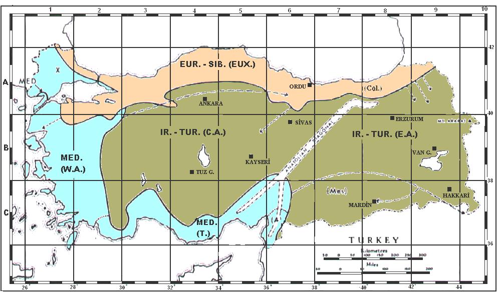3 Harita 1.1. Türkiye nin fitocoğrafik bölgeleri Türkiye florası ve vejetasyonu üzerindeki ilk gözlemler 1700-1702 yılları arasında Fransız botanikçi J.P. Tournefort ile baģlatılmıģtır.