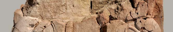 Kumtaşı Kaide Büyük bölümü in situ olarak keşfedilen kumtaşı kaide (Şek. 83) kazı esnasında özenle belgelenmiştir.