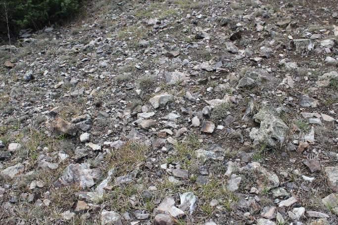 rastlanmamıştır. Birkaç adet yonga parçası ele geçmiş olup; doğal parçaların ise alanın büyük bölümünü kapladığı görülmüştür. (bkz. Res 14).