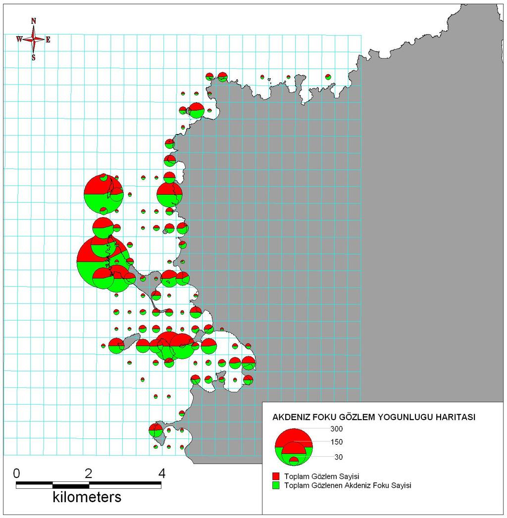 Bulgular AKDENĠZ KEġĠġ FOKU GÖZLEM YOĞUNLUĞU HARĠTASI
