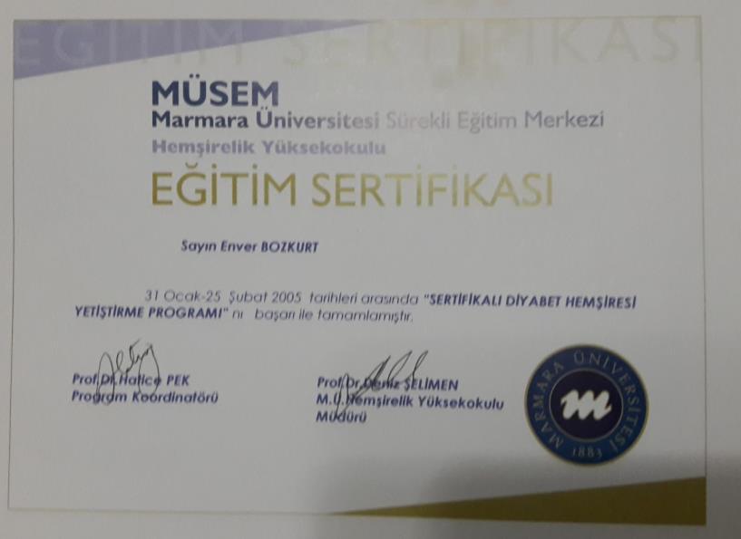 Ülkemizde 5 hemşire Türkiye Diyabet Hemşireleri derneği tarafından yütülen diyabet eğitim hemşireliği sertifikalı programını tamamlamıştır.