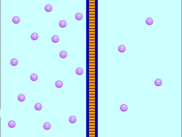 Bir membrandan belirli bir zaman biriminde geçen gaz volümü(ml/dk) diffüzyona katılan yüzey alanı ile doğru ve