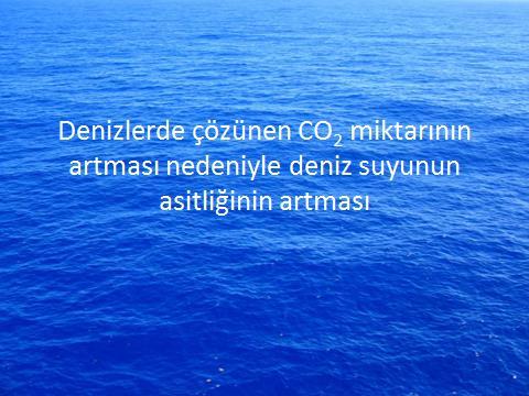 Denizlerde çözünen CO 2 miktarının artması