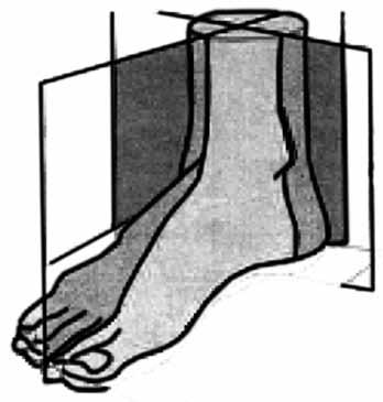 214 ve sıfır başlangıç pozisyonuna aktif ve pasif olarak dönememesi. Dorsifleksiyon: Sagittal planda ayağın ayak bileğinde sıfır başlangıç pozisyondan dorsal yöne hareketi.