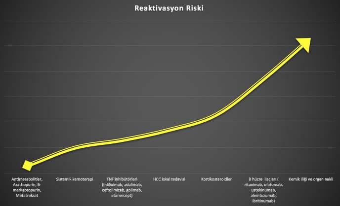 Orta Risk