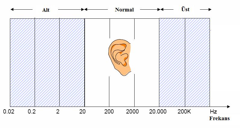 Şekil 2.1 : İnsan Kulağı İşitme Aralığı[3] 2.2.2. Dalga boyu, frekans, periyot ve yayılma hızı Birim zamandaki basınç değişim miktarı ses frekansı olarak adlandırılır ve Hertz (Hz) cinsinden ölçülür.