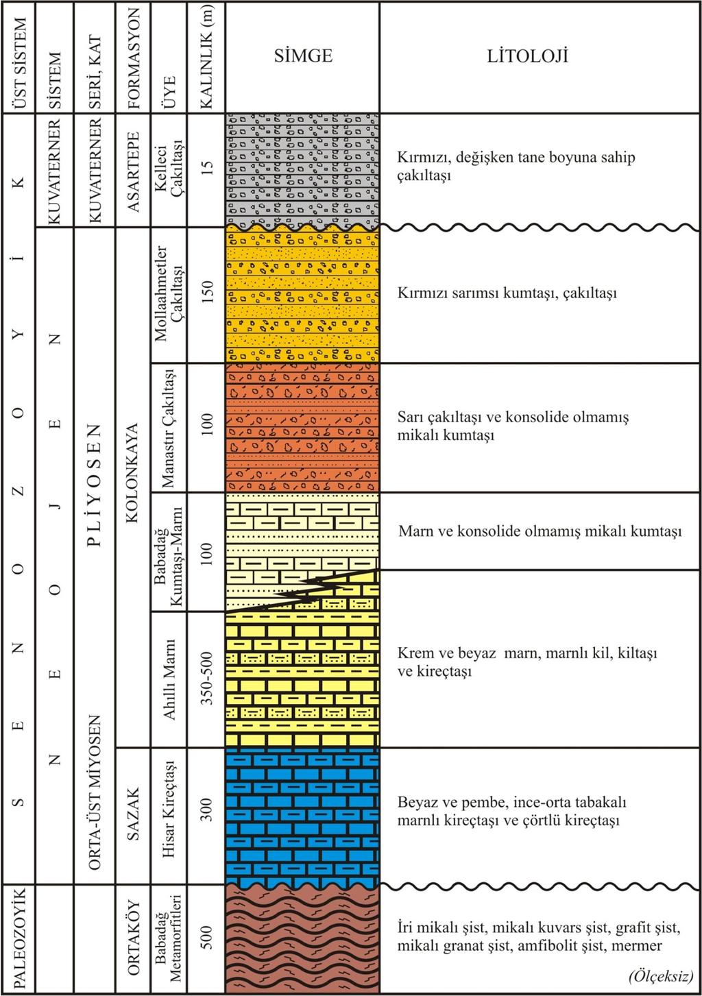 stratigrafik konumu nedeniyle Topal (23) tarafından Üst Miyosen in orta seviyeleri olarak belirtilmiştir. Şekil 3.