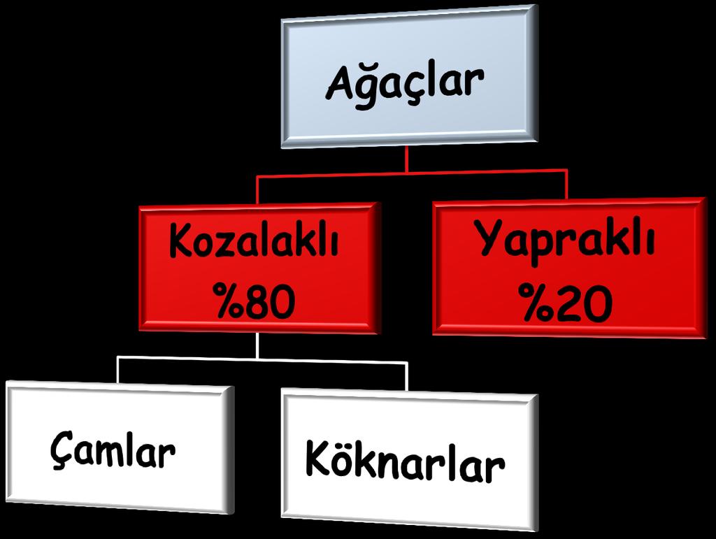 Yapı