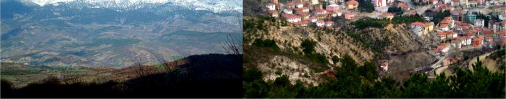 Şaphane Dağı'nın güney yamaçlarında aynı adı taşıyan Şaphane kasabası (3684) yakınındaki şap yatakları hesaba katılmaz ise, bu dağlar maden yönünden de zengin