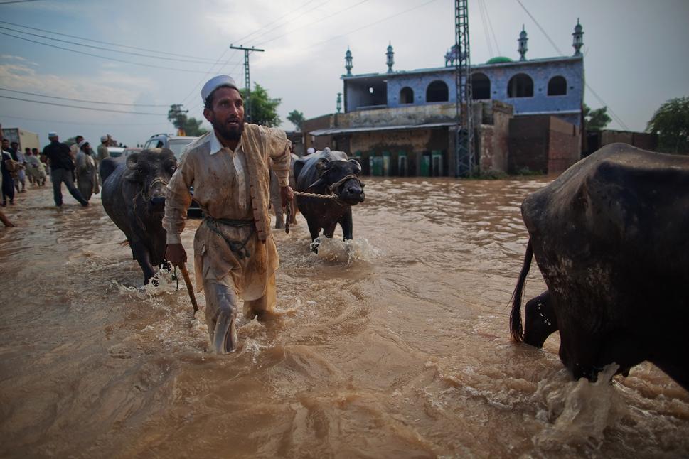 Pakistan Sel Yardımları Faaliyet Raporu A. Pakistan Sel Felaketi 27 Temmuz da baģlayan Muson yağmurları, önceden tahmin edilemeyen Ģekilde artarak nehir yataklarının değiģmesine neden oldu.
